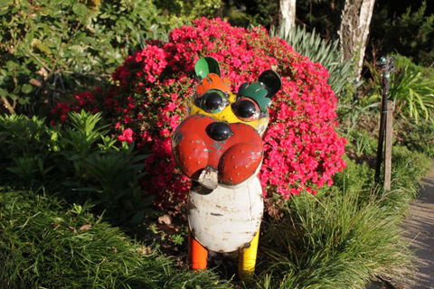 Pizzini's Vineyard Guesthouse - Accommodation Sunshine Coast 7