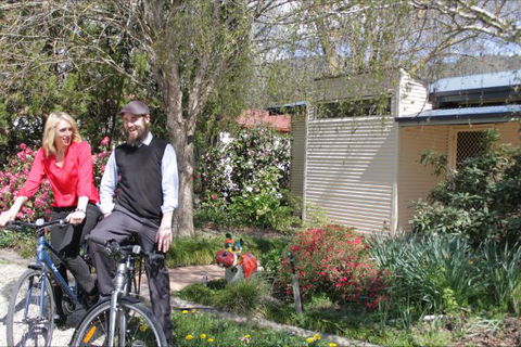 Pizzini's Vineyard Guesthouse - Accommodation Sunshine Coast 9