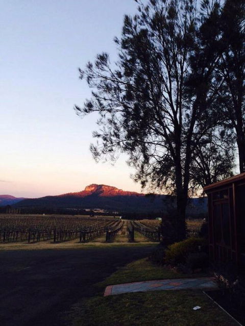 Nightingale Wines Luxury Villas - Accommodation Sunshine Coast 1