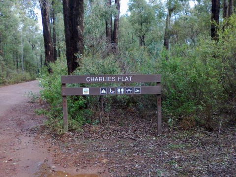 Congo Campground - Accommodation Sunshine Coast 9