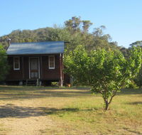 Peach Tree Cabin