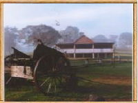 Megalong Valley Farm - Accommodation Sunshine Coast 0