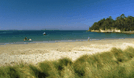 Recreation Cottage - Accommodation Sunshine Coast 2