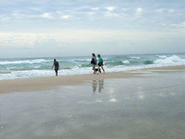 Alfies By The Sea - Accommodation Sunshine Coast 0