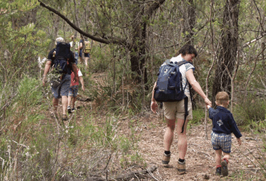Bicheno East Coast Holiday Park - Accommodation Sunshine Coast 3