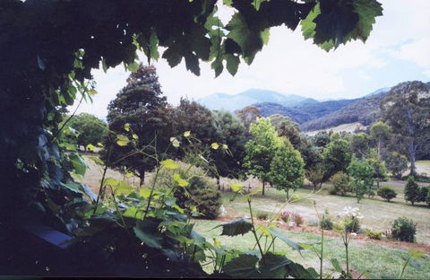 Springfield Cottage Bed & Breakfast - Accommodation Sunshine Coast 1