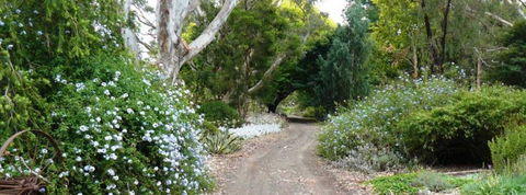Camawald Coonawarra Bed & Breakfast - Accommodation Sunshine Coast 5