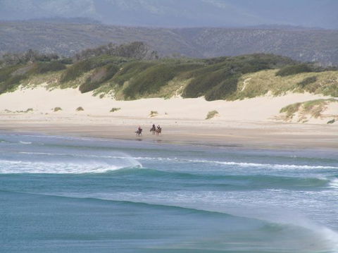 Arties Cottage Accommodation - Accommodation Sunshine Coast 5