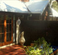 Bickley Valley Retreat - Accommodation Sunshine Coast