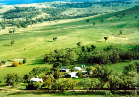 Daisyburn Homestead - Accommodation Sunshine Coast 0