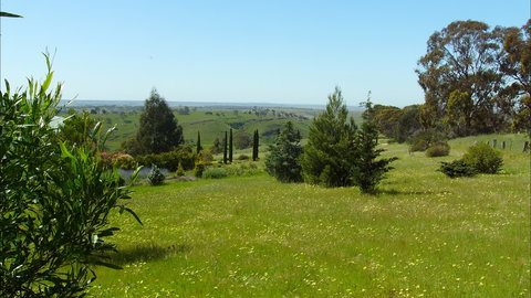 Jonathan Art Centre - Jarramarrumba House - Accommodation Sunshine Coast 0