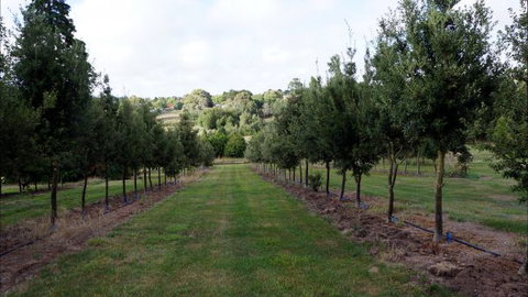 Oakhill Cottage - Accommodation Sunshine Coast 6