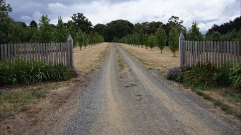 Oakhill Cottage - Accommodation Sunshine Coast 7