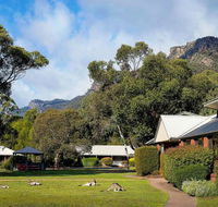 Pinnacle Holiday Lodge - Accommodation Sunshine Coast