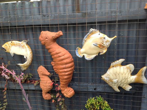 Queen Bee - Accommodation Sunshine Coast 9