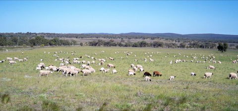 Selby Organic Farm Stay - Accommodation Sunshine Coast 7
