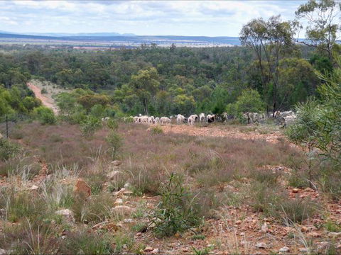 Selby Organic Farm Stay - Accommodation Sunshine Coast 8