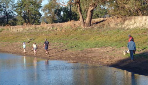 Selby Organic Farm Stay - Accommodation Sunshine Coast 9