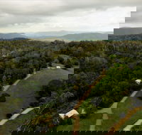 Bellthorpe Stays - Nature's Retreat - Accommodation Sunshine Coast