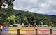 BIG4 Wye River Holiday Park - thumb 4