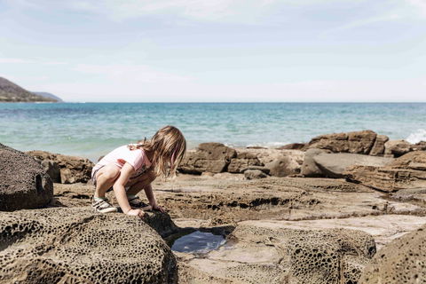 BIG4 Wye River Holiday Park - Accommodation Sunshine Coast 9