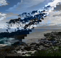 Binalong Bay Beach Shack - Accommodation Sunshine Coast