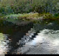 Cod Hole campground and picnic area - Accommodation Sunshine Coast