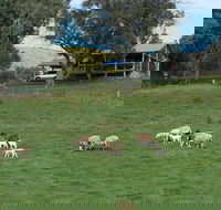 Gaddleen Grove Cottages - Accommodation Sunshine Coast