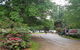 Harrietville Cabins And Caravan Park - thumb 8