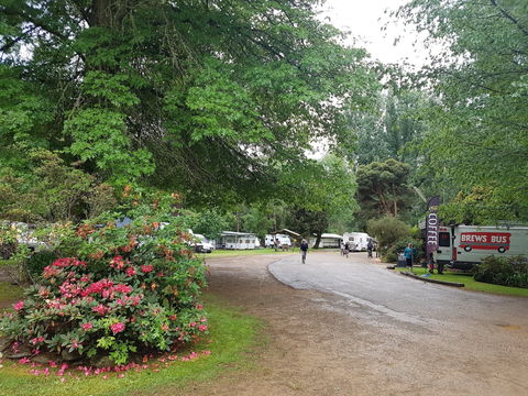 Harrietville Cabins And Caravan Park - Accommodation Sunshine Coast 8