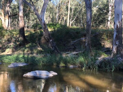 Highfield Farm And Woodland Bush Campsites - Accommodation Sunshine Coast 1