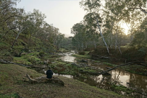 Highfield Farm And Woodland Bush Campsites - Accommodation Sunshine Coast 2