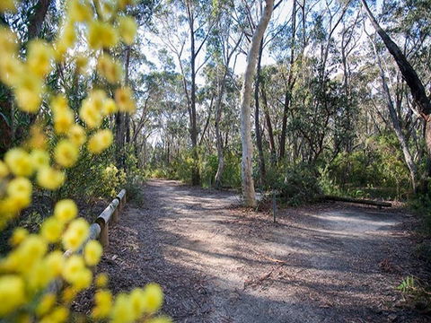 Perrys Lookdown Campground - Accommodation Sunshine Coast 0