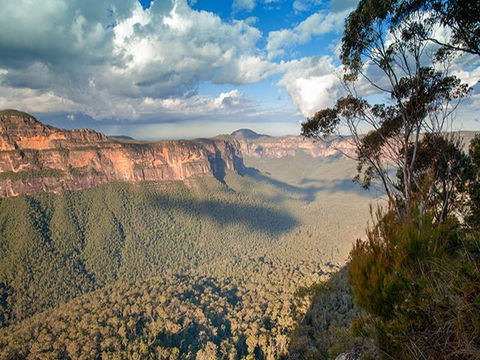 Perrys Lookdown Campground - Accommodation Sunshine Coast 2