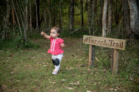 Telegraph Retreat Cottages - Accommodation Sunshine Coast 4