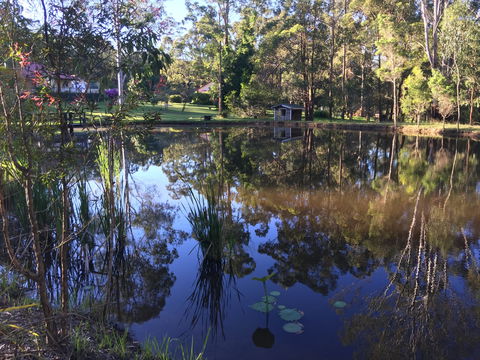 Telegraph Retreat Cottages - Accommodation Sunshine Coast 8