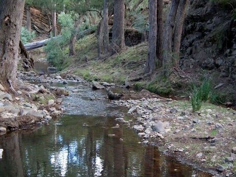 The Sink Campground - Accommodation Sunshine Coast 1