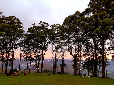 Aaronlee Retreat - Accommodation Sunshine Coast 1