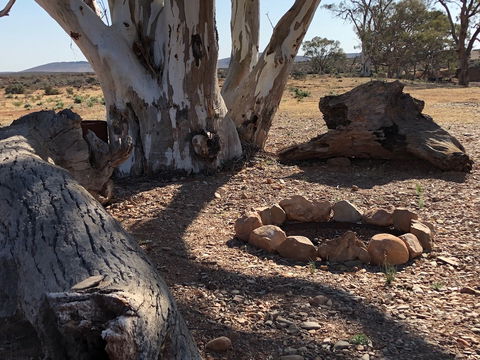 Almerta Station - Accommodation Sunshine Coast 5
