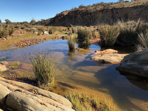 Almerta Station - Accommodation Sunshine Coast 7