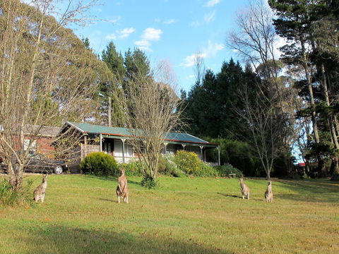 Cedar Lodge Cabins - Accommodation Sunshine Coast 0