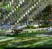 Chaelundi campground - Accommodation Sunshine Coast