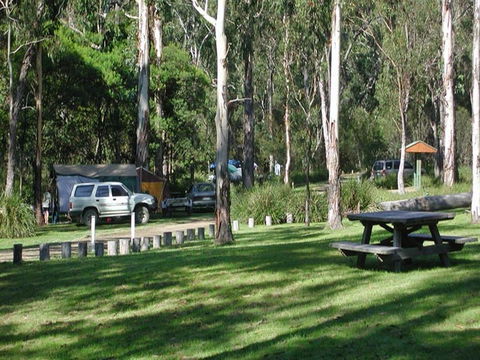 Chaelundi Campground - Accommodation Sunshine Coast 0