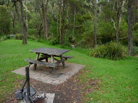 Chaelundi Campground - Accommodation Sunshine Coast 1