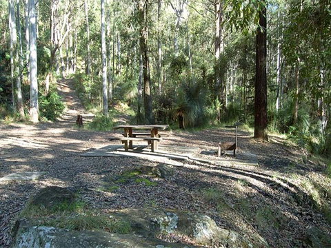 Gap Creek Campground - Accommodation Sunshine Coast 1