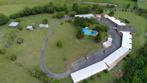 Jacaranda Motor Lodge And Moos Restaurant - Accommodation Sunshine Coast 0