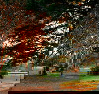 Misty Valley Country Cottages - Accommodation Sunshine Coast