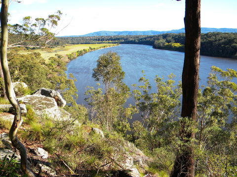 Nowra Showground - Accommodation Sunshine Coast 0