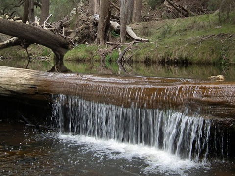 Silent Creek Campground - Accommodation Sunshine Coast 1