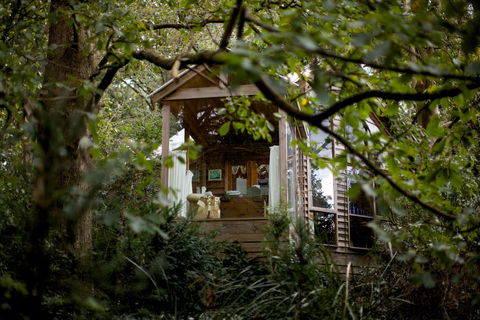 Arcadia Cottages - Accommodation Sunshine Coast 1
